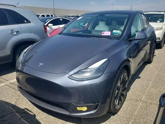 TESLA MODEL Y 2022 7SAYGDEF0NF539748 image